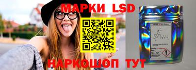 шишки Бузулук