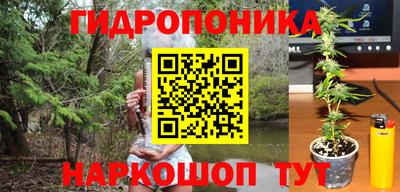 сатива Будённовск