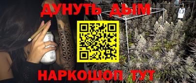 сатива Будённовск