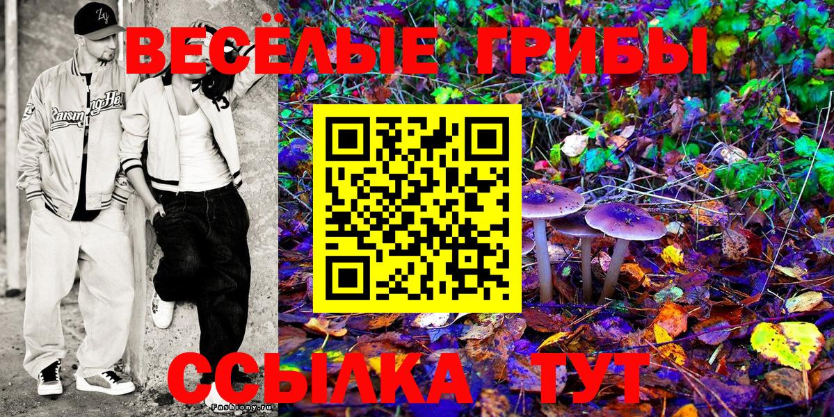Галлюциногенные грибы мицелий  Галлюциногенные грибы Psilocybine cubensis  Вход с VPN  Родники 